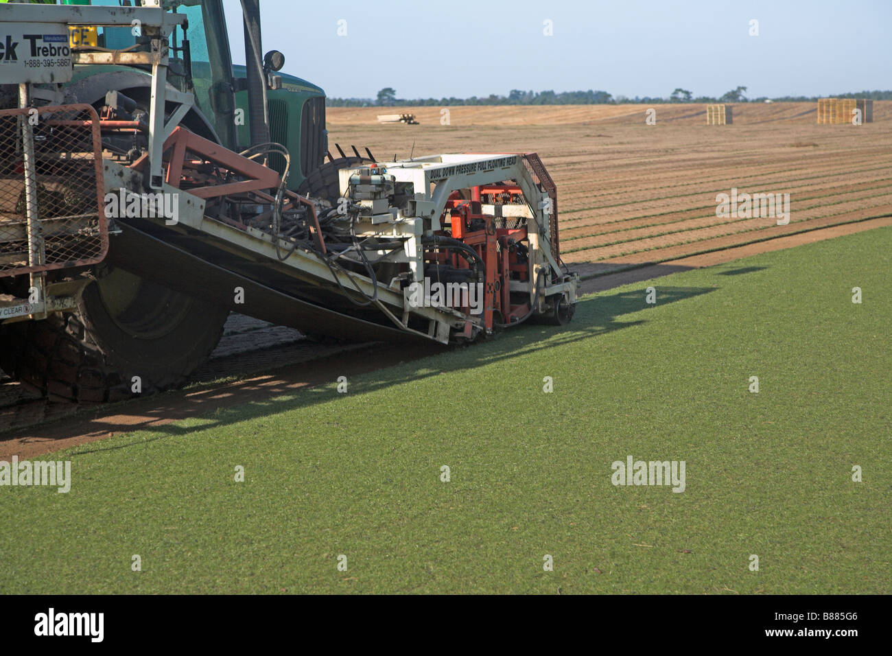 Commercial grass turf cutting Sutton Suffolk England Stock Photo