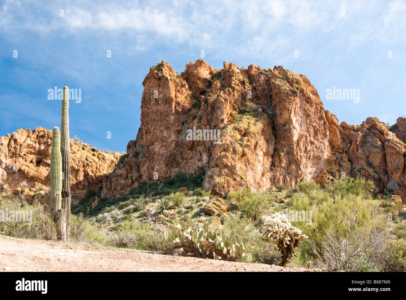 desert scenery in the Arizona wilderness Stock Photo