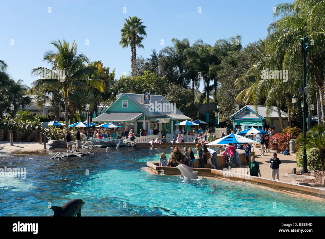 Dolphin Cove at Sea World, Orlando, Central Florida, USA Stock Photo