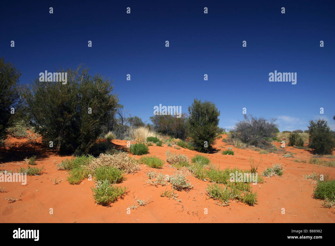 Desert Landscape, Lake Torrens surrounds, South Australia Stock Photo