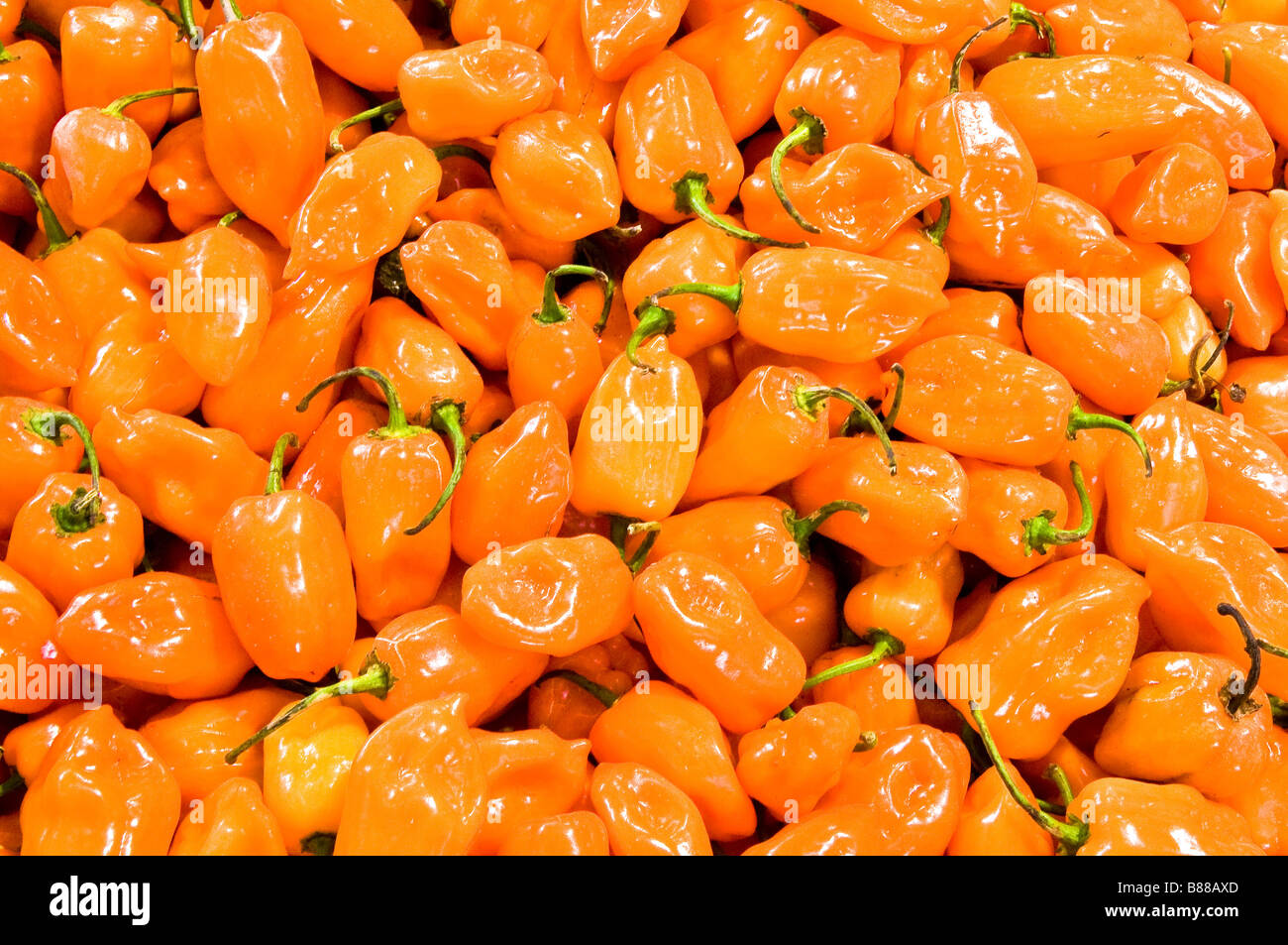 Habanero chiles at Mercado Pino Suarez Old Town Mazatlan Mexico Stock Photo