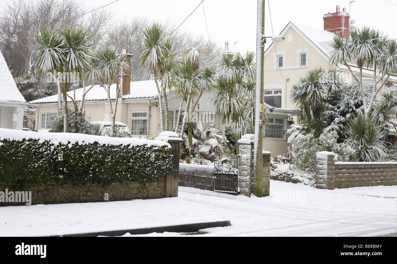 Sub tropical plants hires stock photography and images Alamy