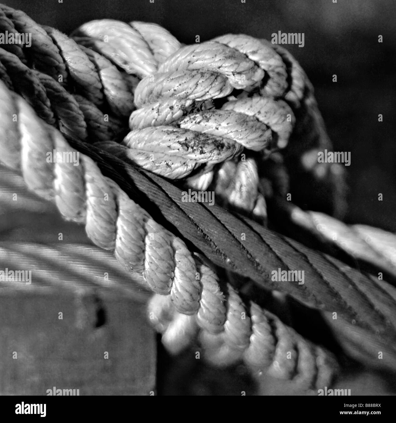 Bound rope Black and White Stock Photos & Images Alamy