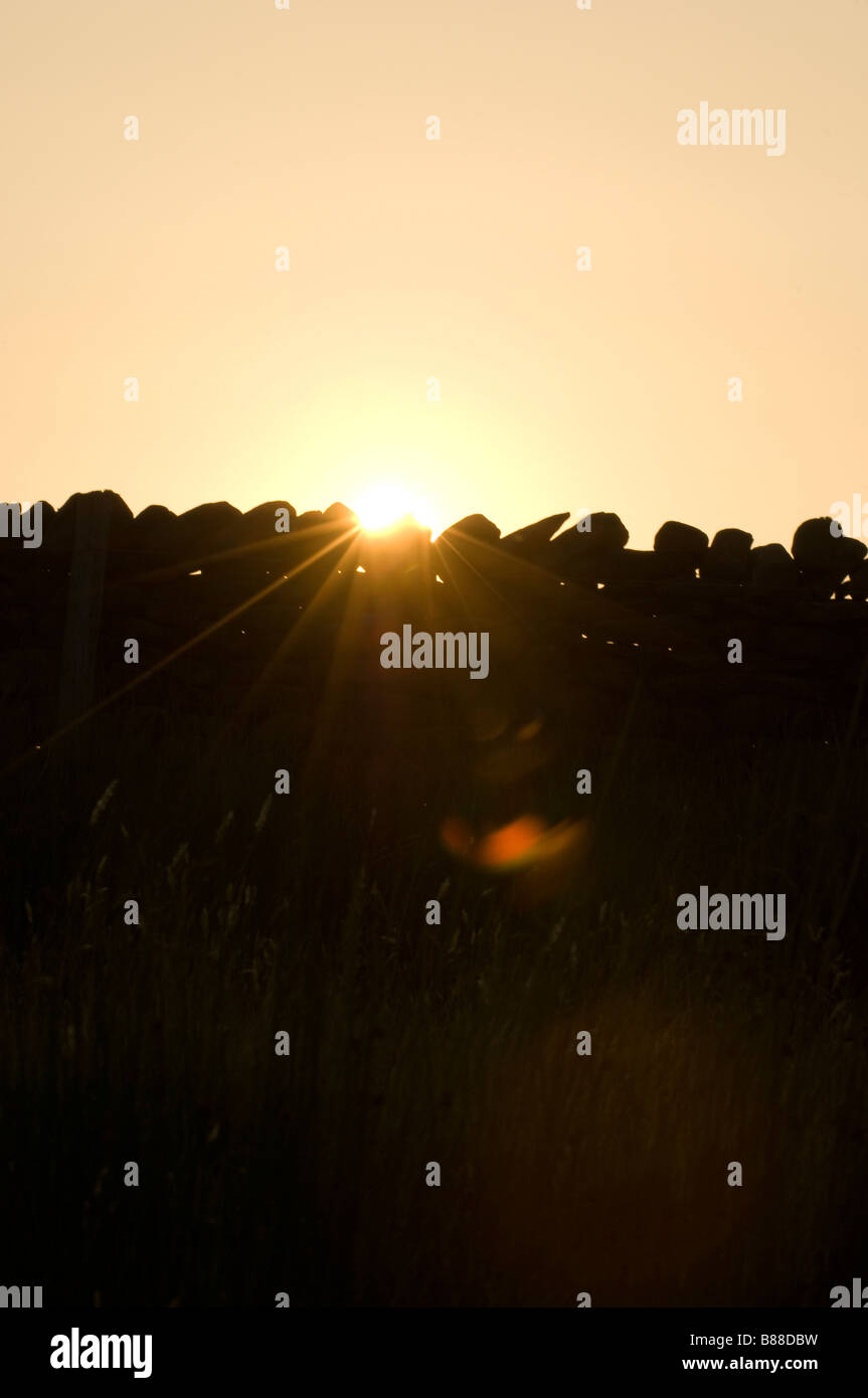 Evening sun flaring over a drystone wall Stock Photo