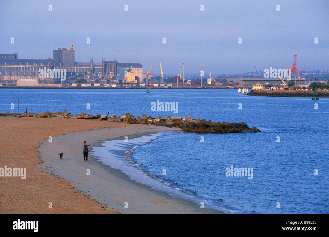 Are Dogs Allowed Horseshoe Beach