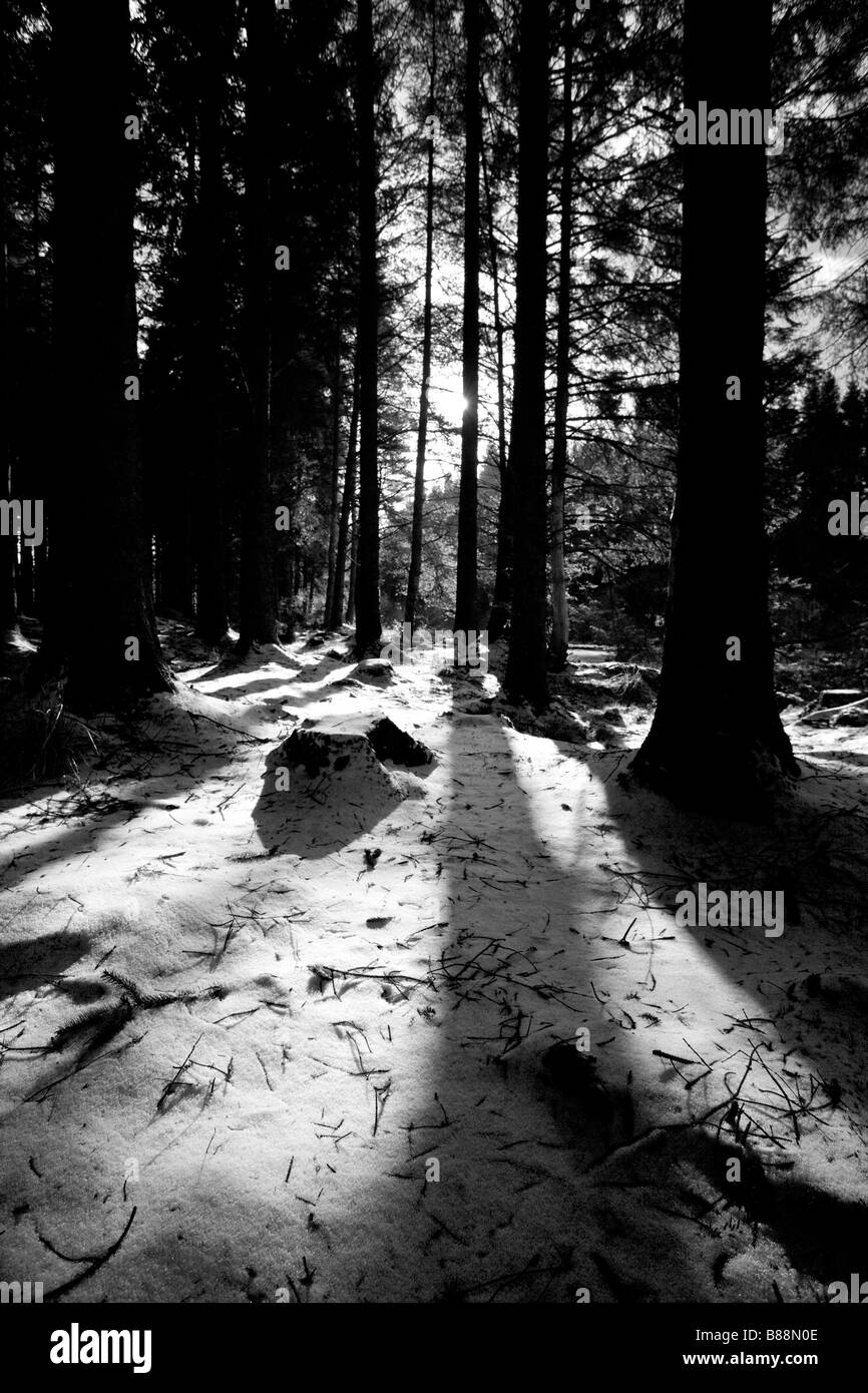 Galloway Black and White Stock Photos & Images Alamy