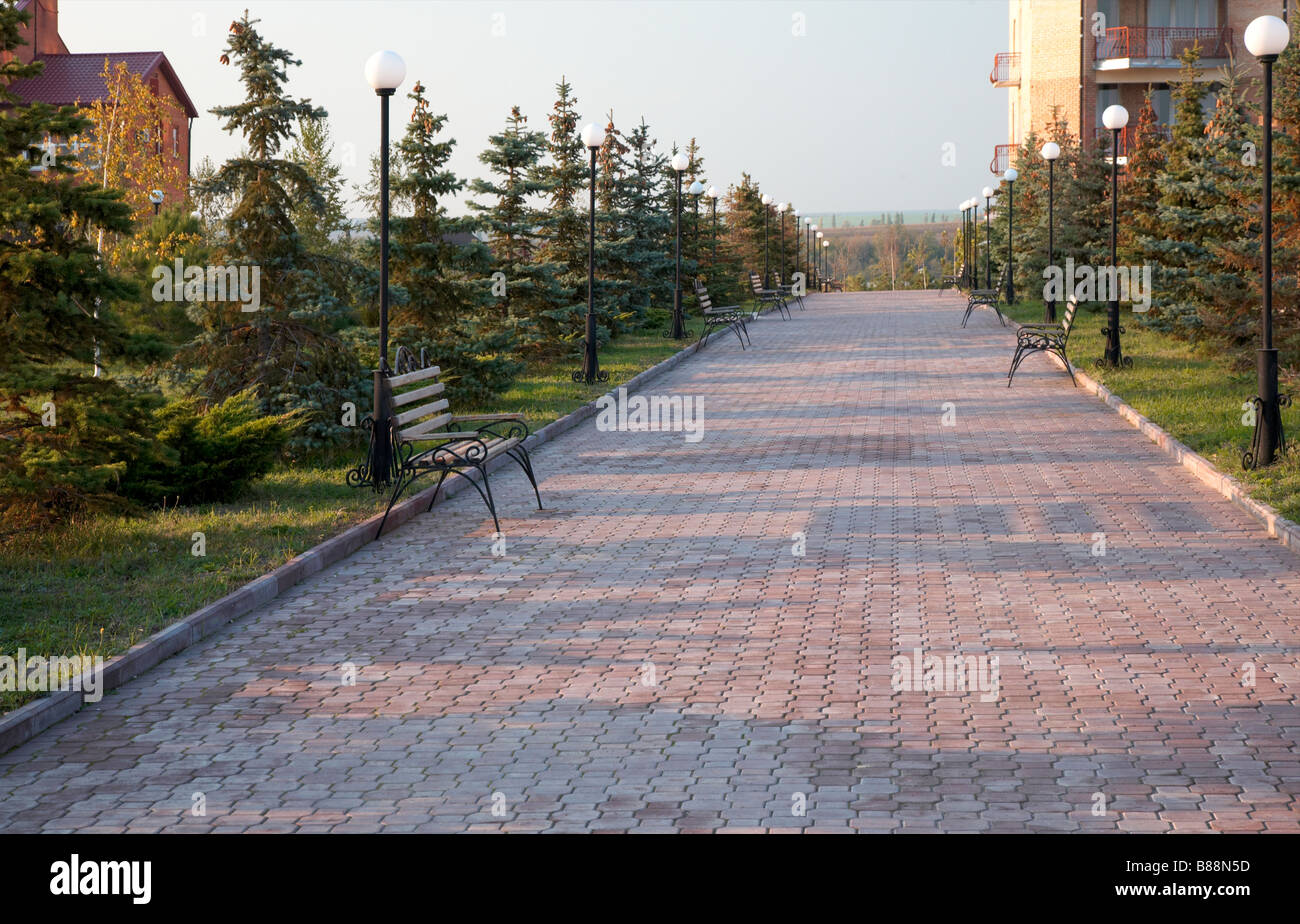 recreation center coniferous path (Jalta village, Donetsk Region, Ukraine) Stock Photo