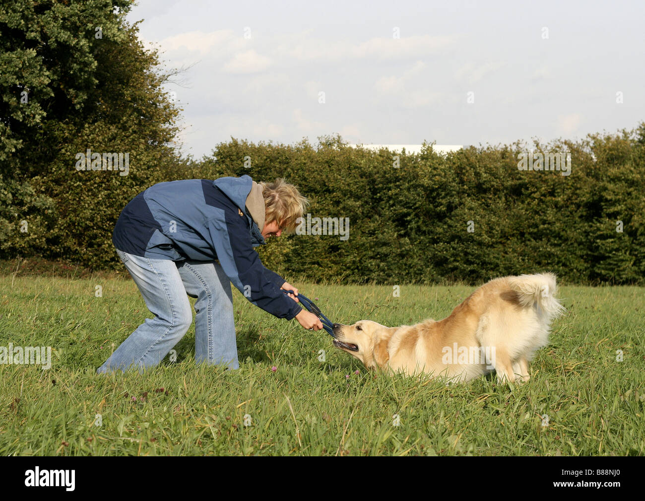 young woman playing with Golden Retriever dog Stock Photo - Alamy
