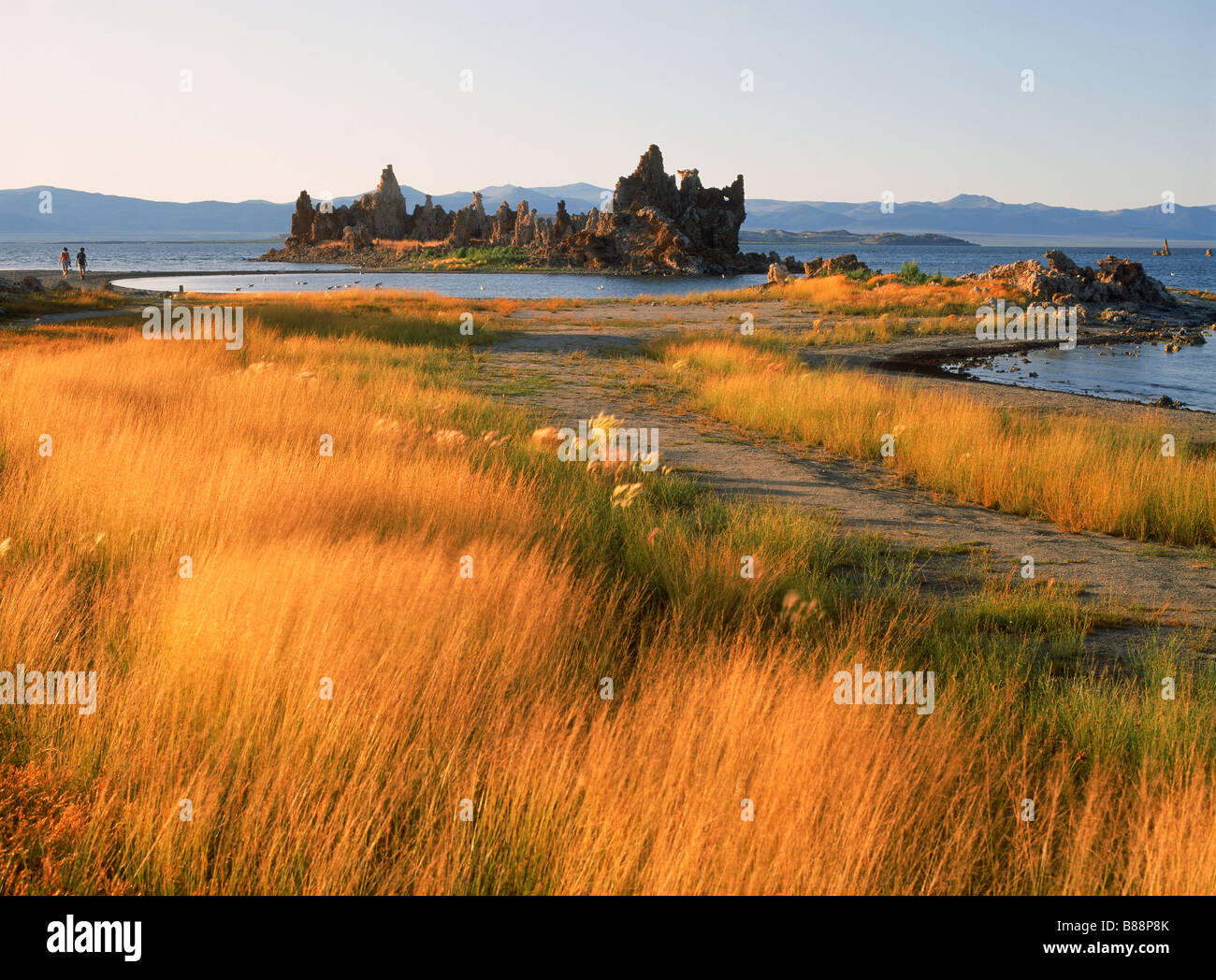 Tufa columns in Mono Lake with yellow grass reeds in low sunset light California Stock Photo