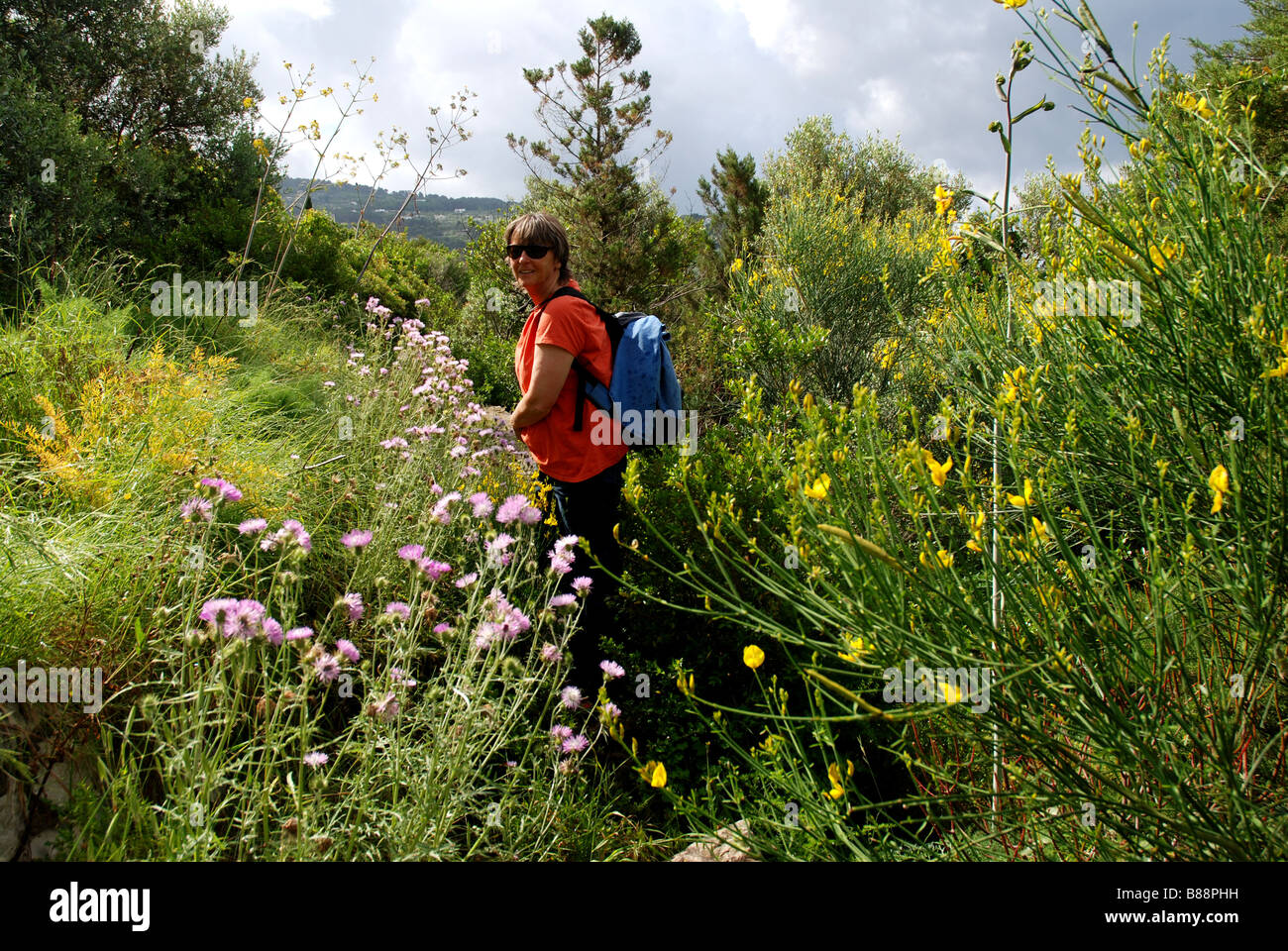 hiker walking though springflowers along west coast of island Capri gulf of Naples Mediterranean sea Italy Stock Photo
