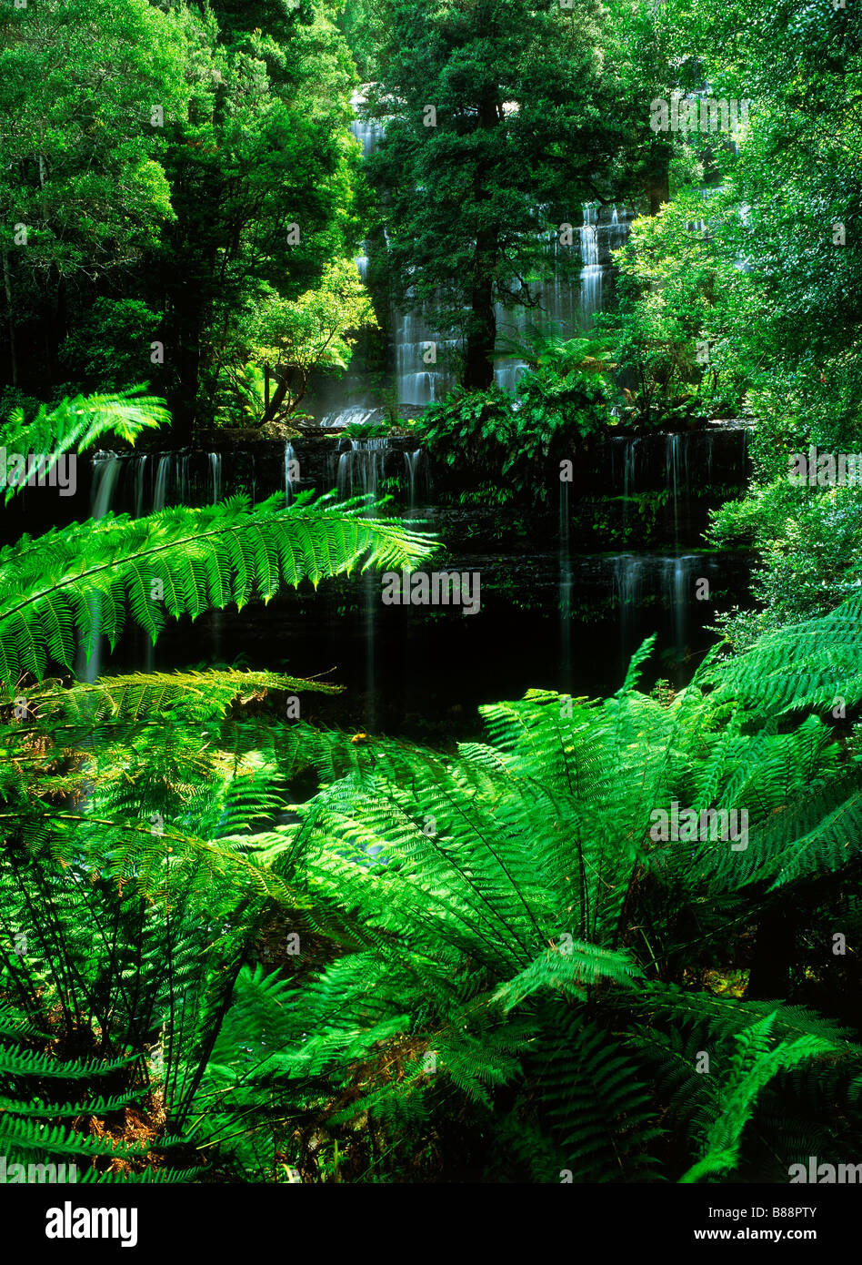 Travel on forest hi-res stock photography and images - Alamy