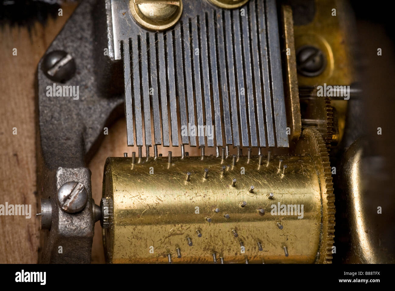 Music box teeth, flexible spring-like steel strips Stock Photo