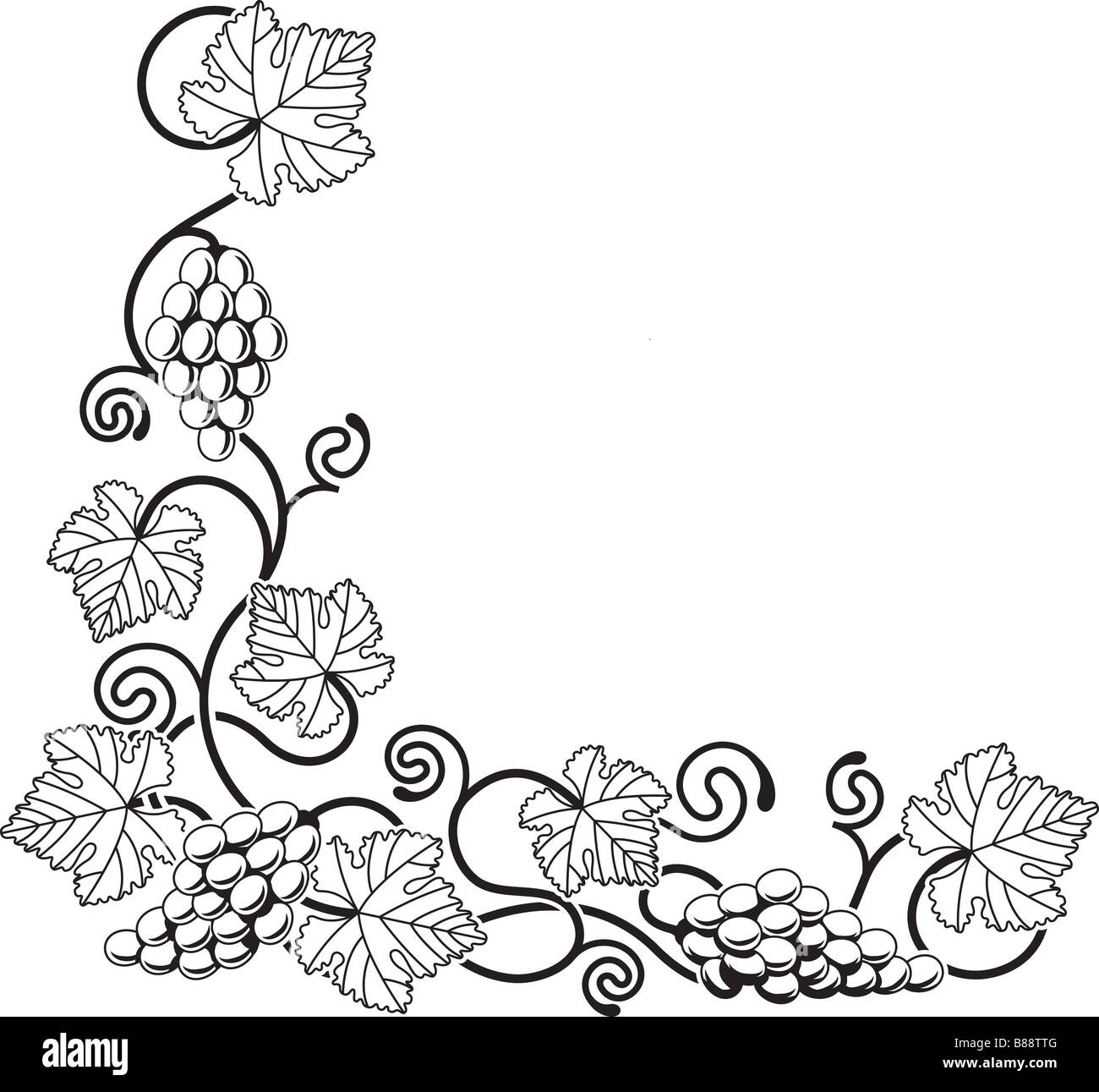 Grapevine Drawing Images – Browse 213,980 Stock Photos, Vectors, and Video