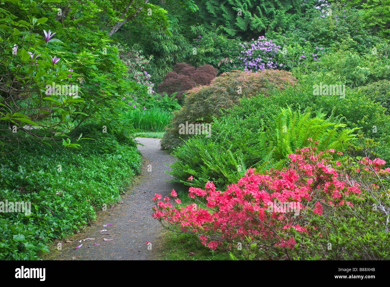 Seattle WA Kubota Garden city park layers of flowering shrubs ferns and