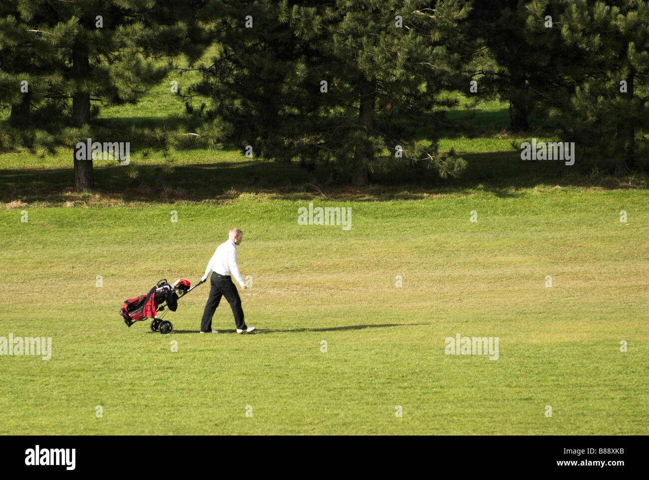 A golfer pulling a trolley Hillbarn Golf Course, Worthing, West