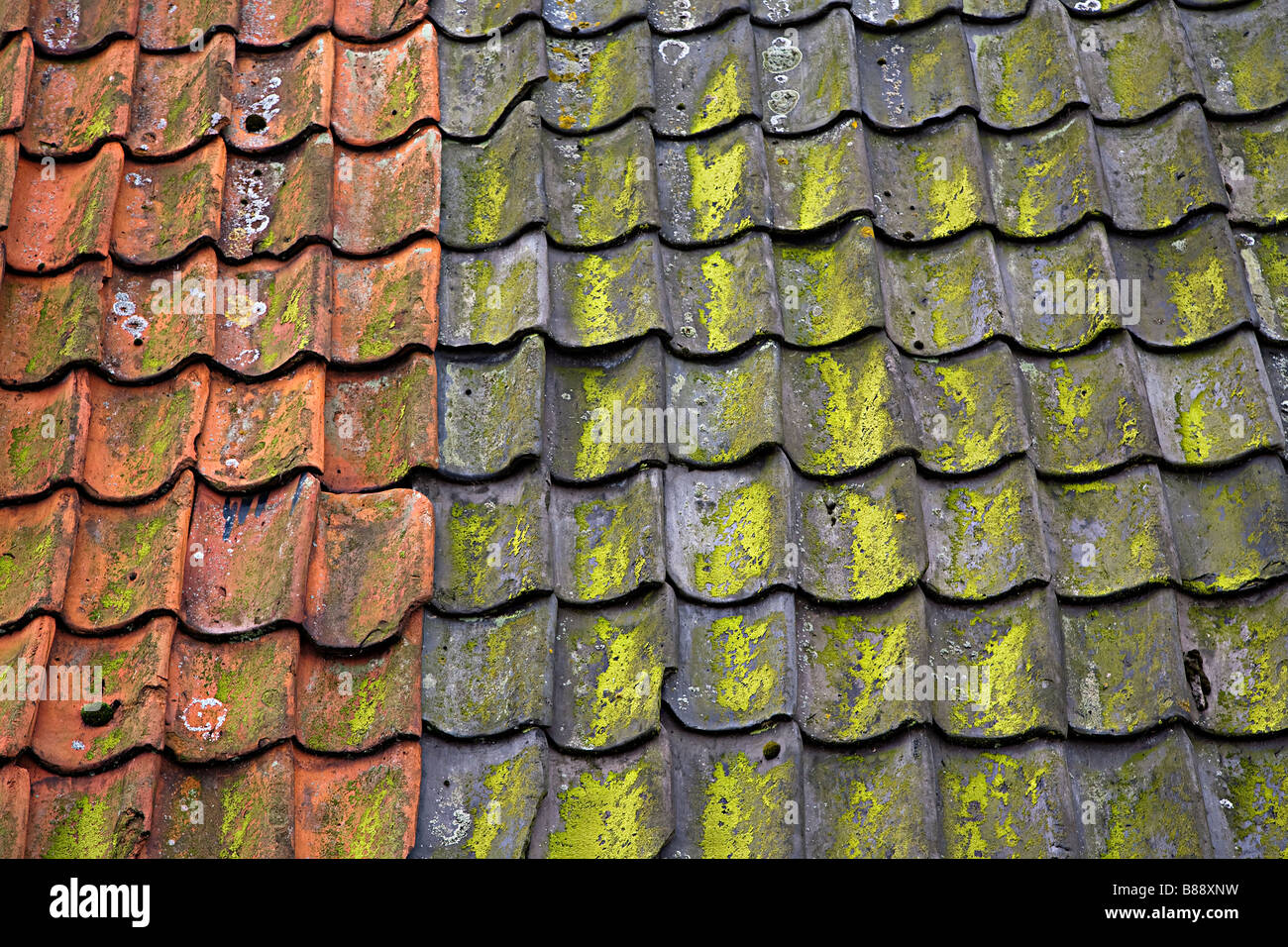 Two colours of traditional clay tiles on roof covered with lichen Netherlands Stock Photo