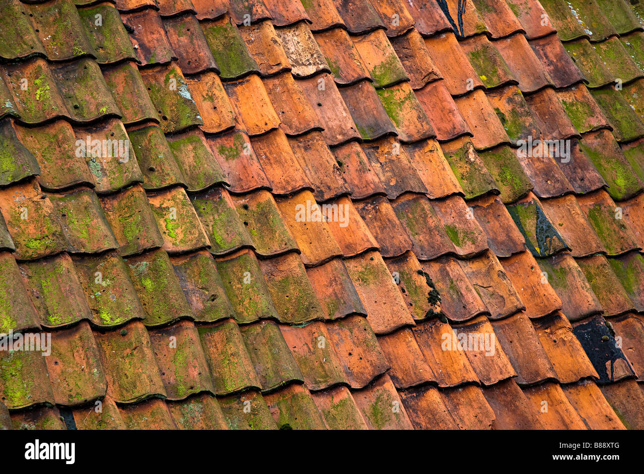 Traditional clay tiles on roof covered with lichen Netherlands Stock Photo