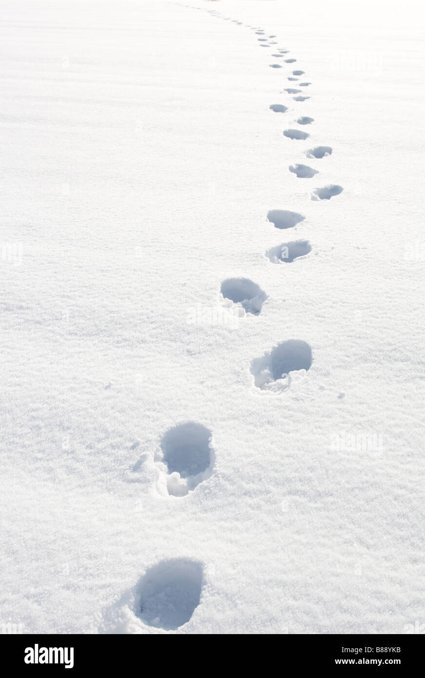 Footprints in snow Stock Photo Alamy