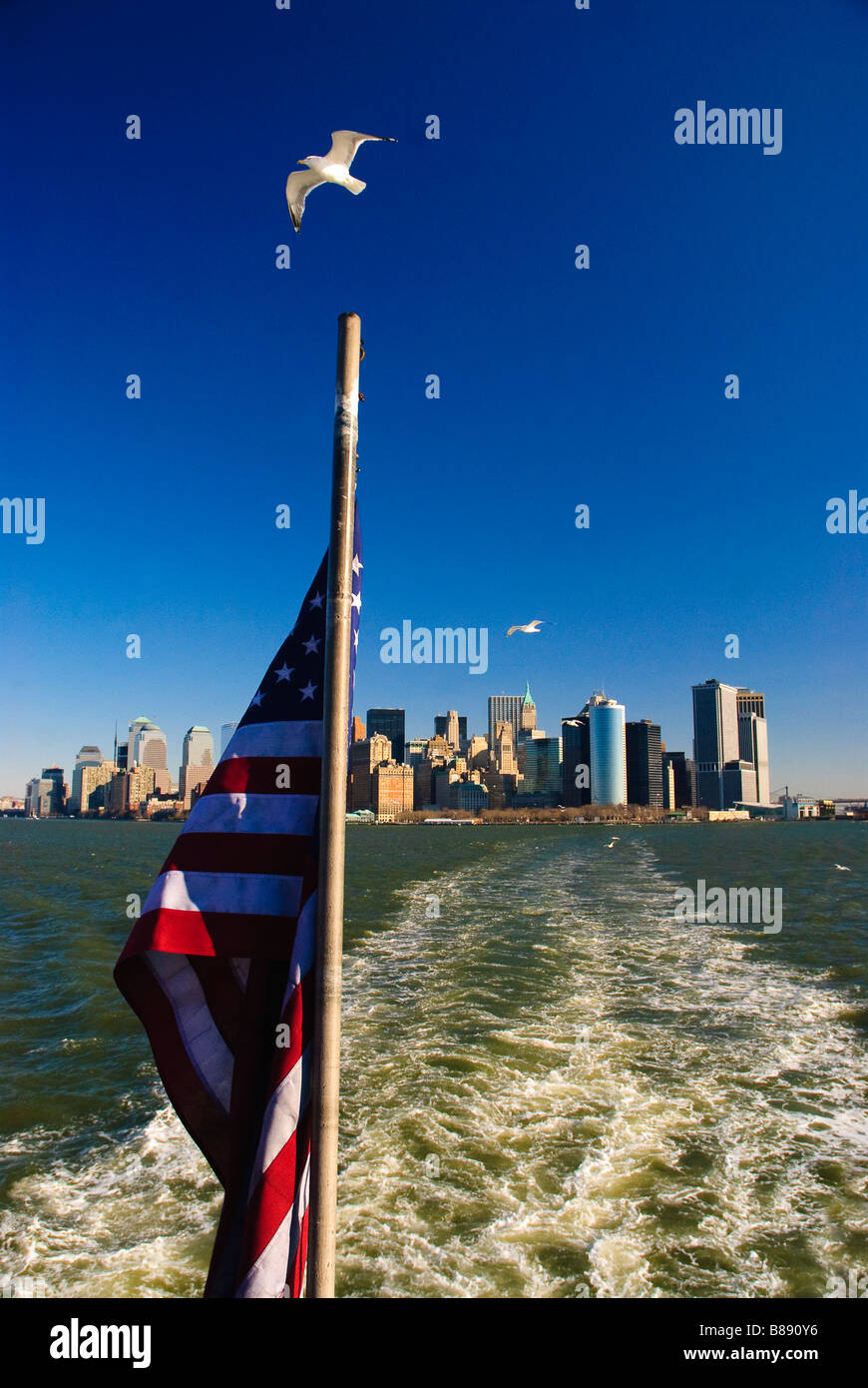 Seagulls following the ferry in New York Harbour Stock Photo Alamy