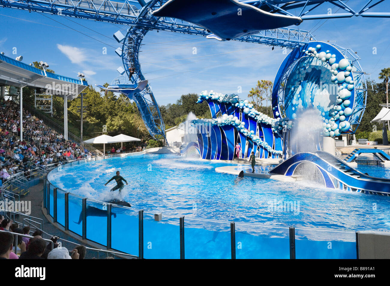 Whale and Dolphin Show at Sea World, Orlando, Central Florida, USA ...