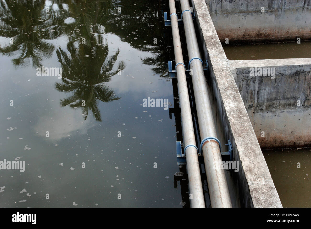 Dirty sewage water at a water treatment plant in Panjim in Goa in India Stock Photo Alamy