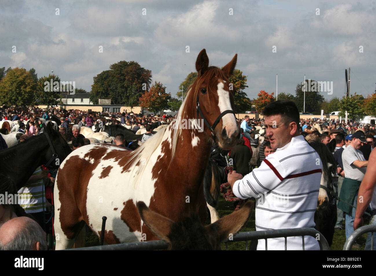 Ballinasloe Ireland Horse Fair Stock Photo Alamy