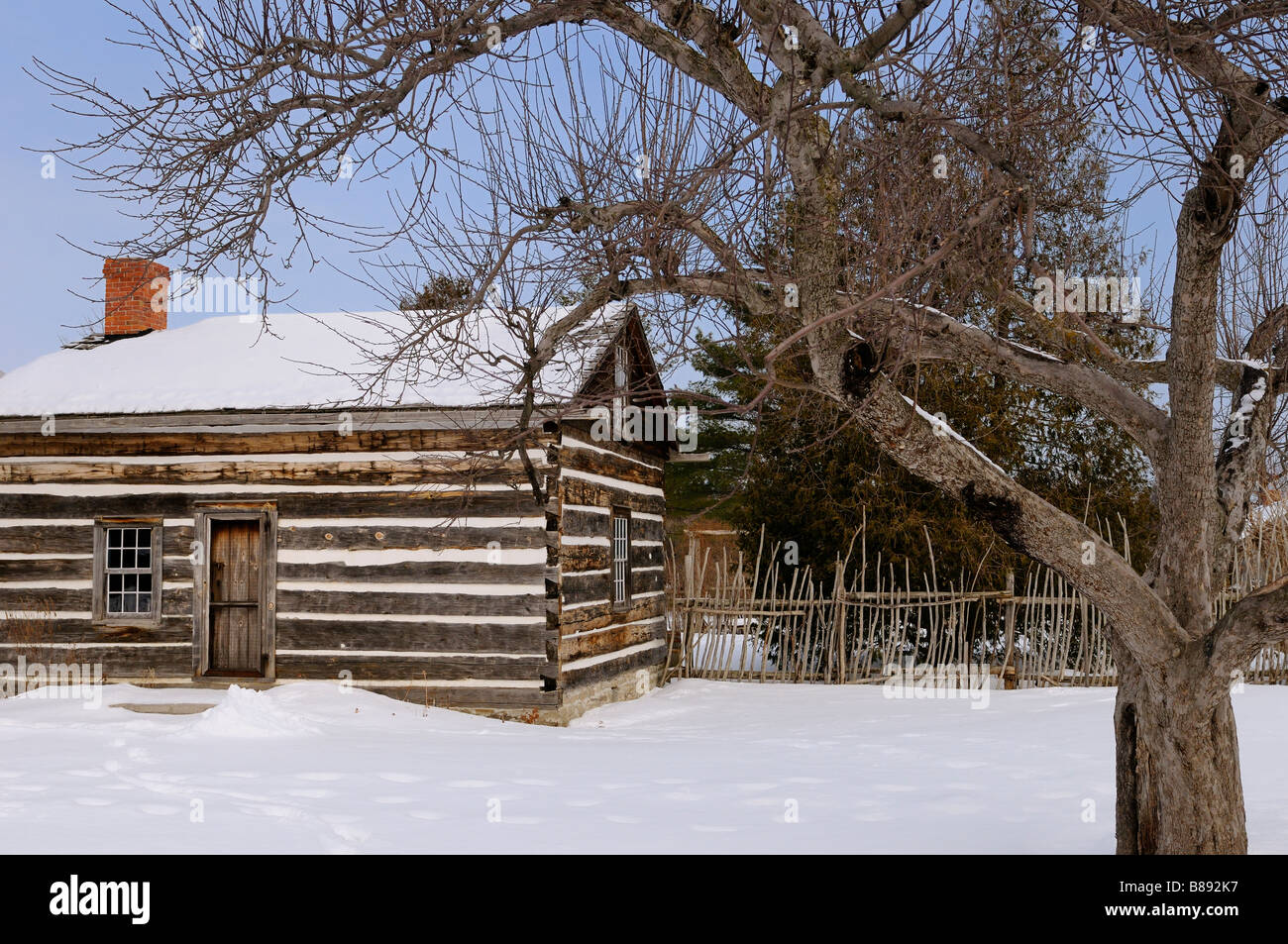 Pioneer Cabin Tree Stock Photos Pioneer Cabin Tree Stock Images