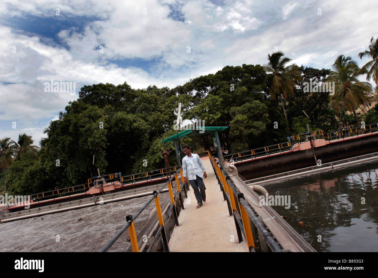 Dirty sewage water at a water treatment plant in Panjim in Goa in India Stock Photo Alamy