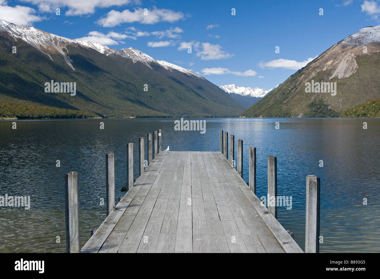 Lake Rotoiti In The Nelson Lakes National Park New Zealand With