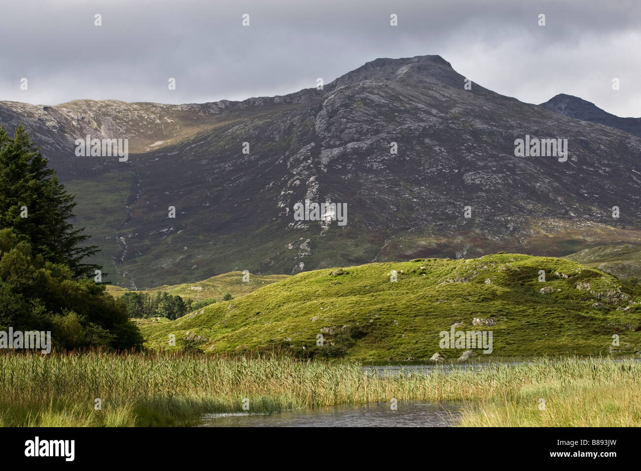 Scenic Irish landscape with a fishing lake in Galway over looked by