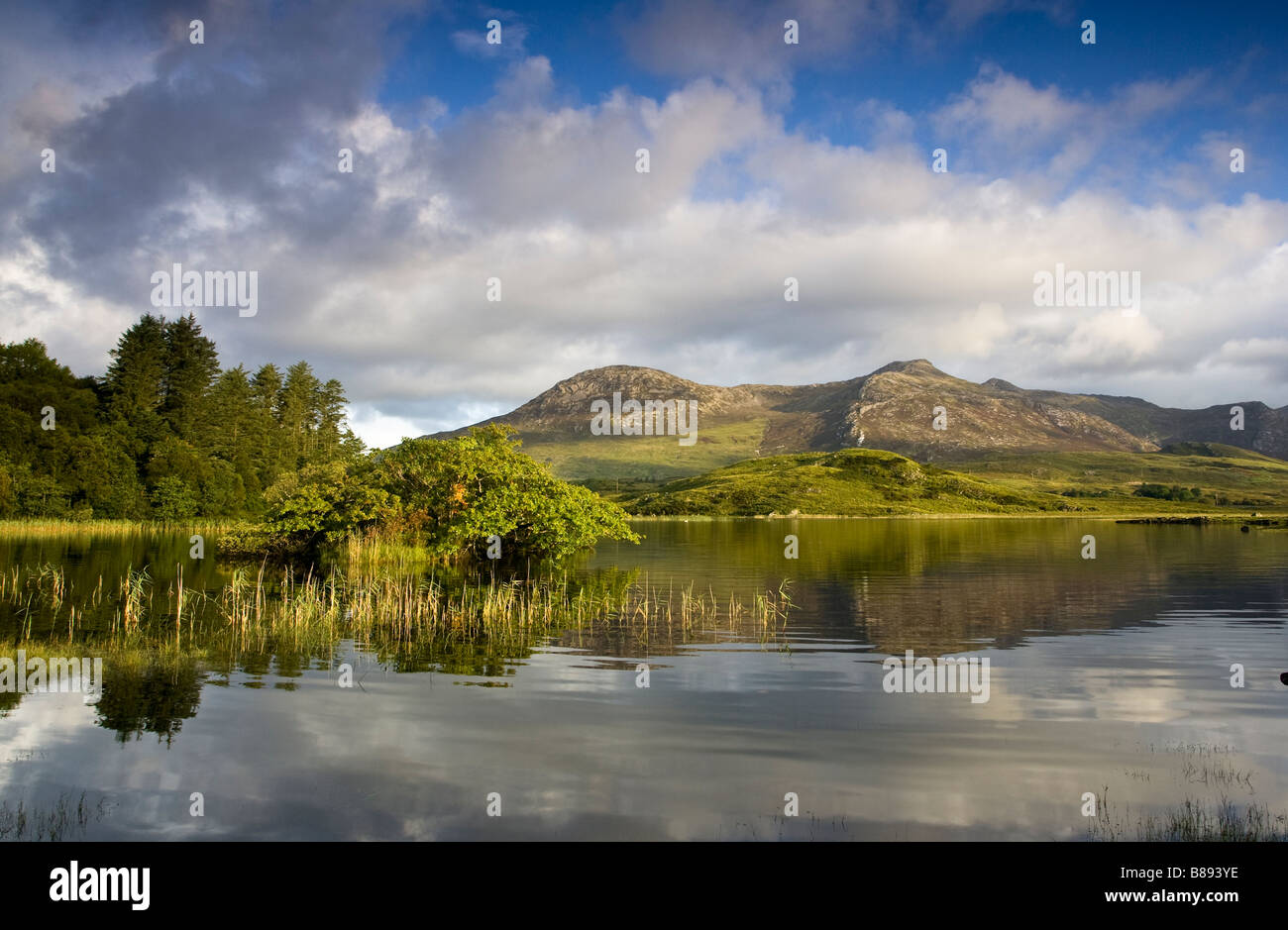 Scenic Irish landscape with a fishing lake in Galway over looked by