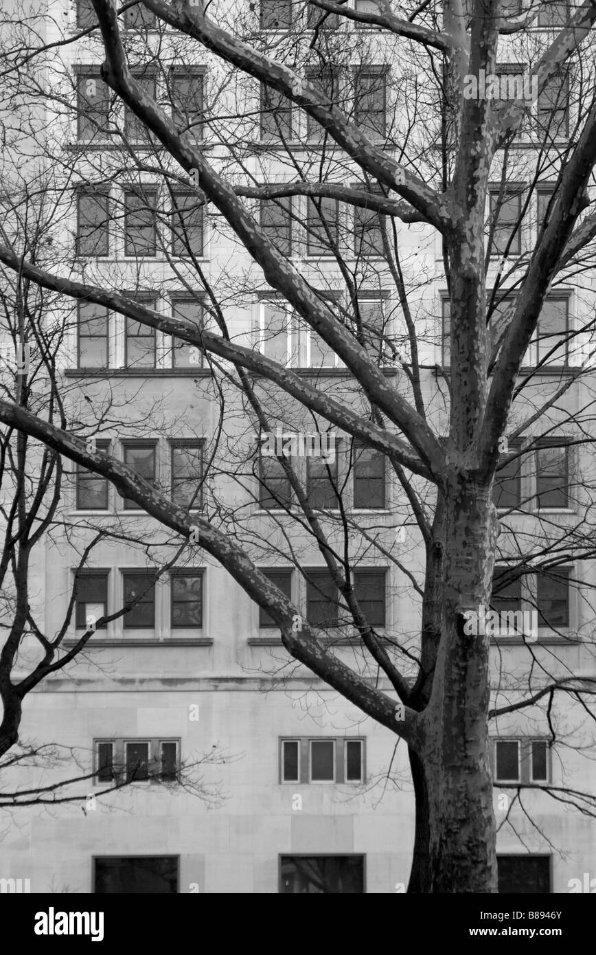 High Rise Facade Stock Photo Alamy