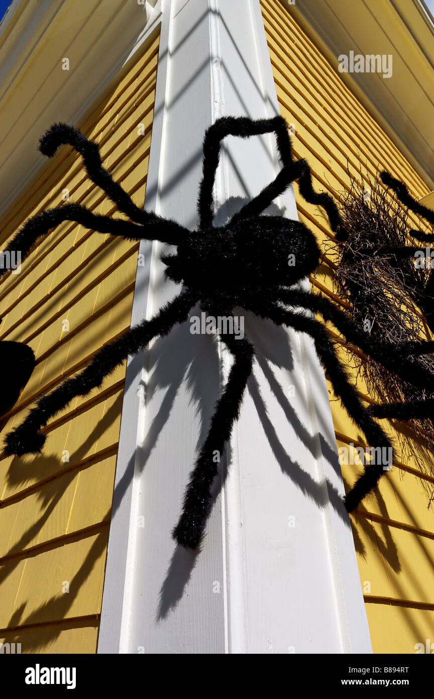 Big furry spiders on the outside of a house as halloween decoration Stock Photo