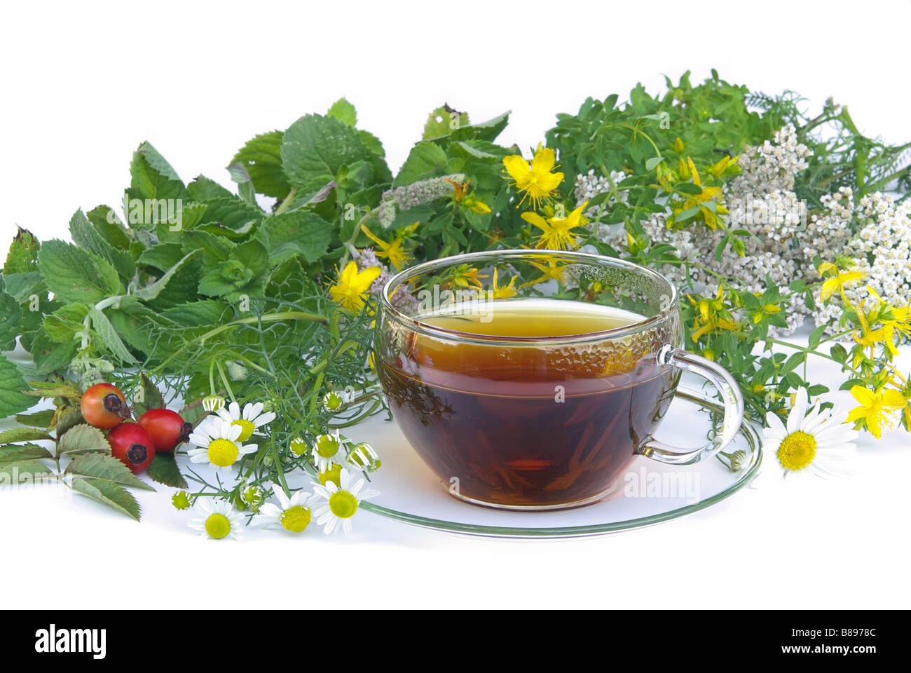 Tee Kräuter tea herbal 01 Stock Photo
