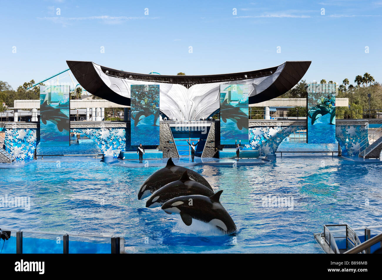 Believe Show in the Shamu Stadium, Sea World, Orlando, Central Florida, USA Stock Photo