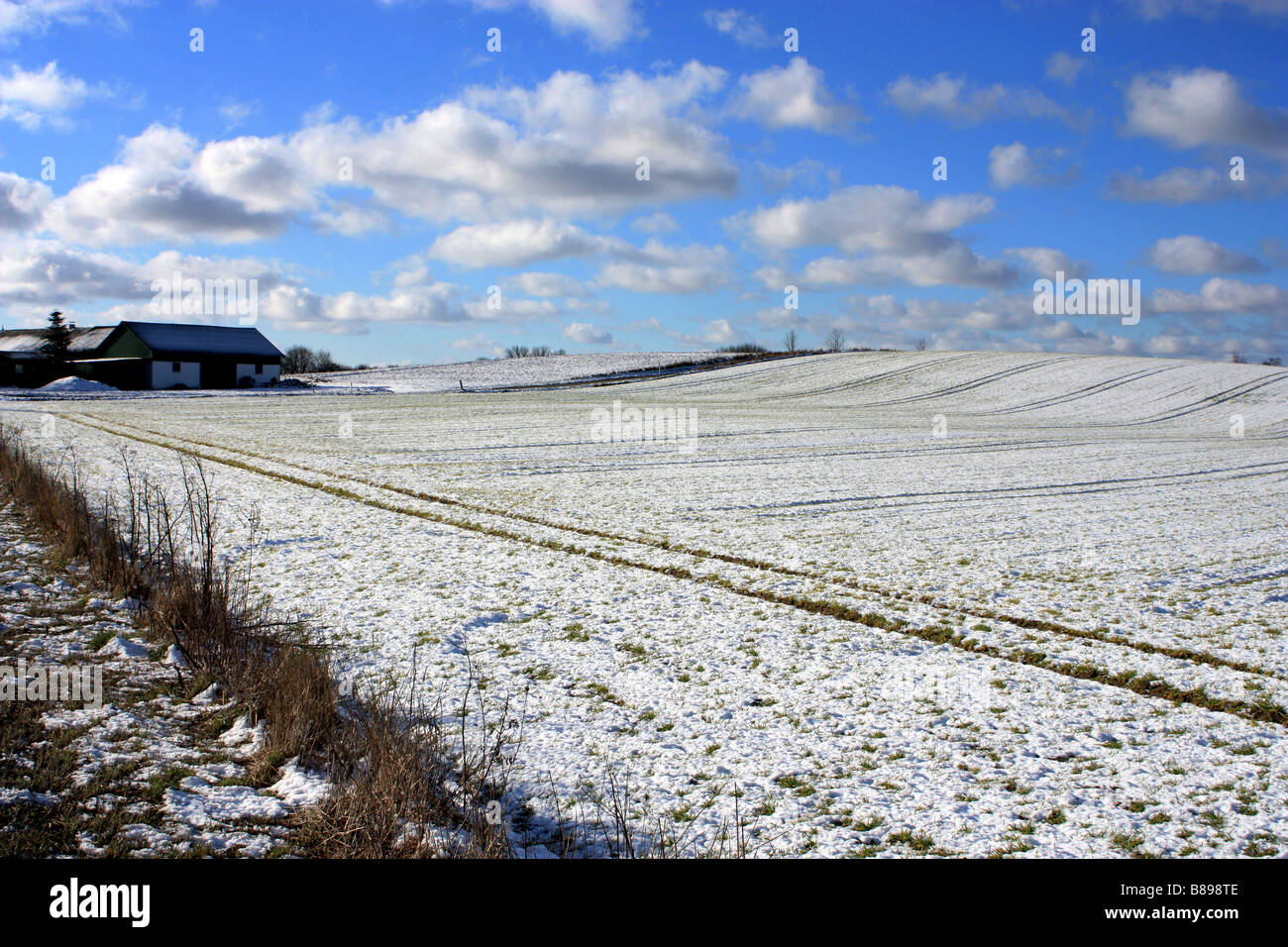 snow in denmark Stock Photo Alamy