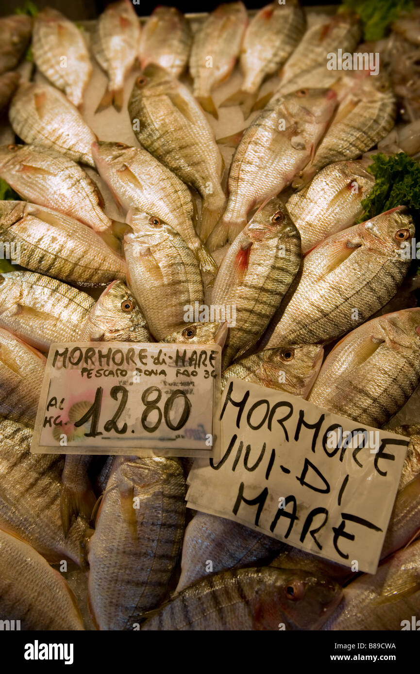 Fresh fish - Momore - fresh octopus- Venice Rialto Fish Market Stock Photo