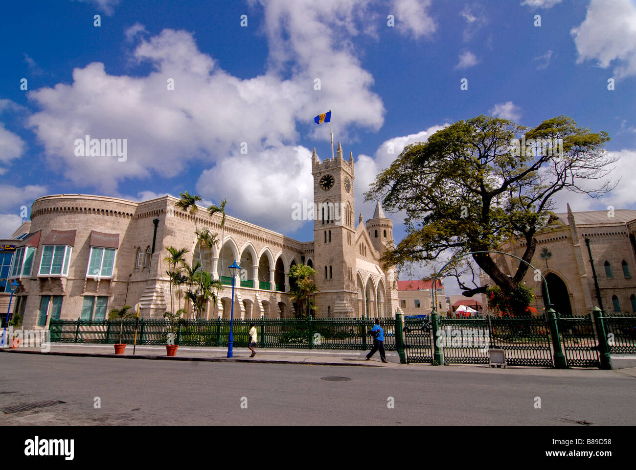 The goverment building standing behind a tree at Bridgetown Barbados Caribbean Stock Photo