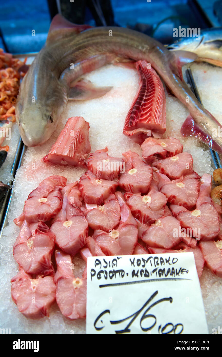 Fresh shark Venice Rialto Fish Market Stock Photo Alamy