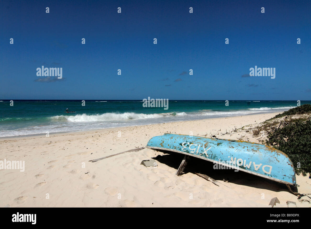 A blue wooden boat lying at a wonderful idyllic Silver sand beach at Barbados Caribbean Stock Photo