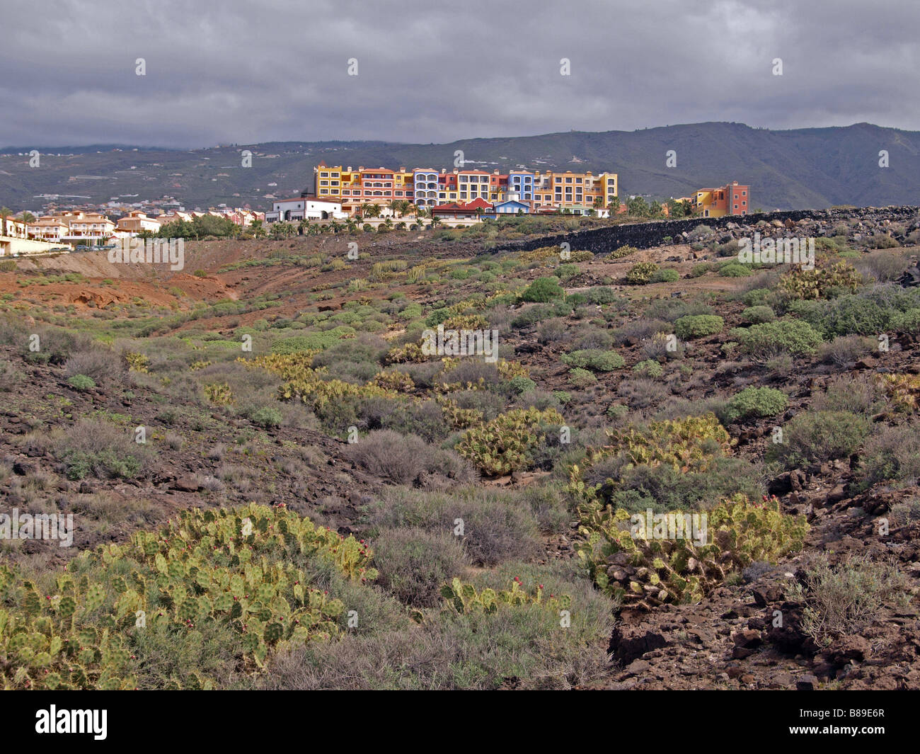 Colourful houses with scrub land in the forground at Playa Parasio, Costa Adeje, Tenerife. Stock Photo