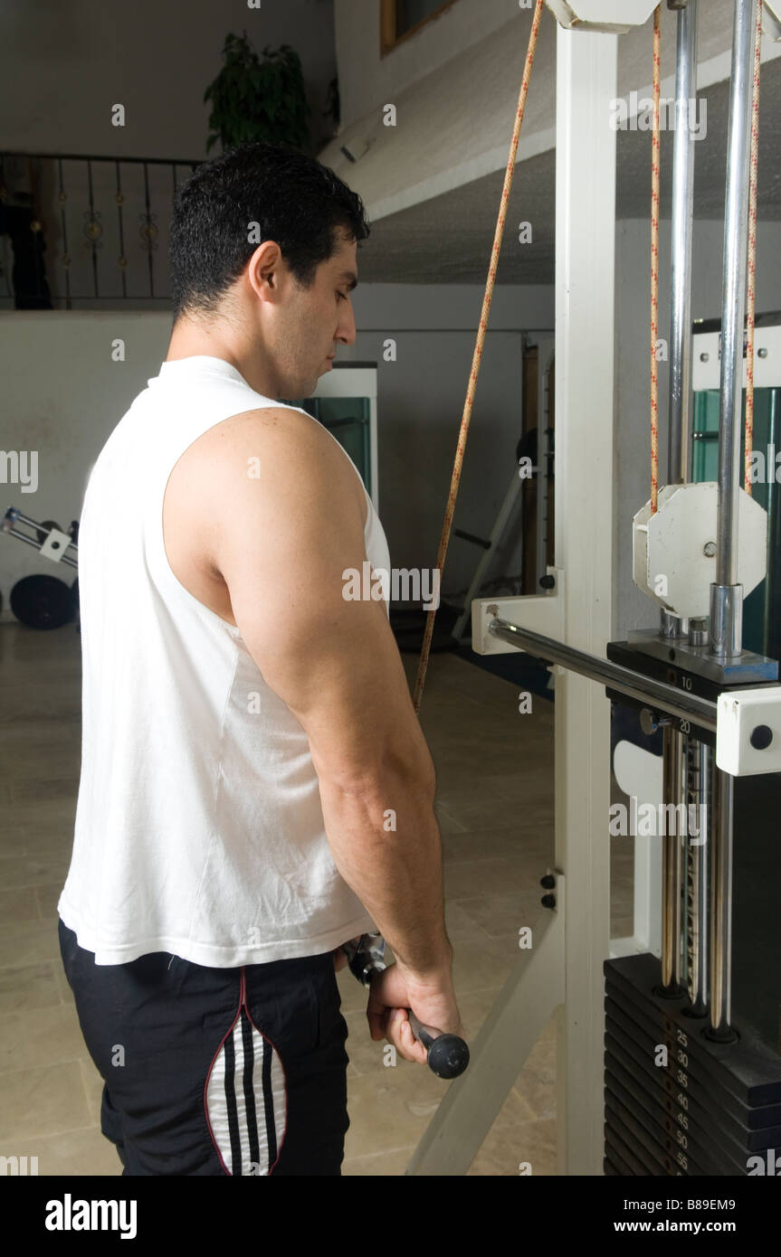 Man exercising his triceps in the gym Stock Photo