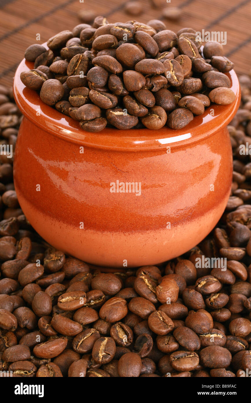 Medium roasted coffee beans from the Nyeri region of Kenya in a