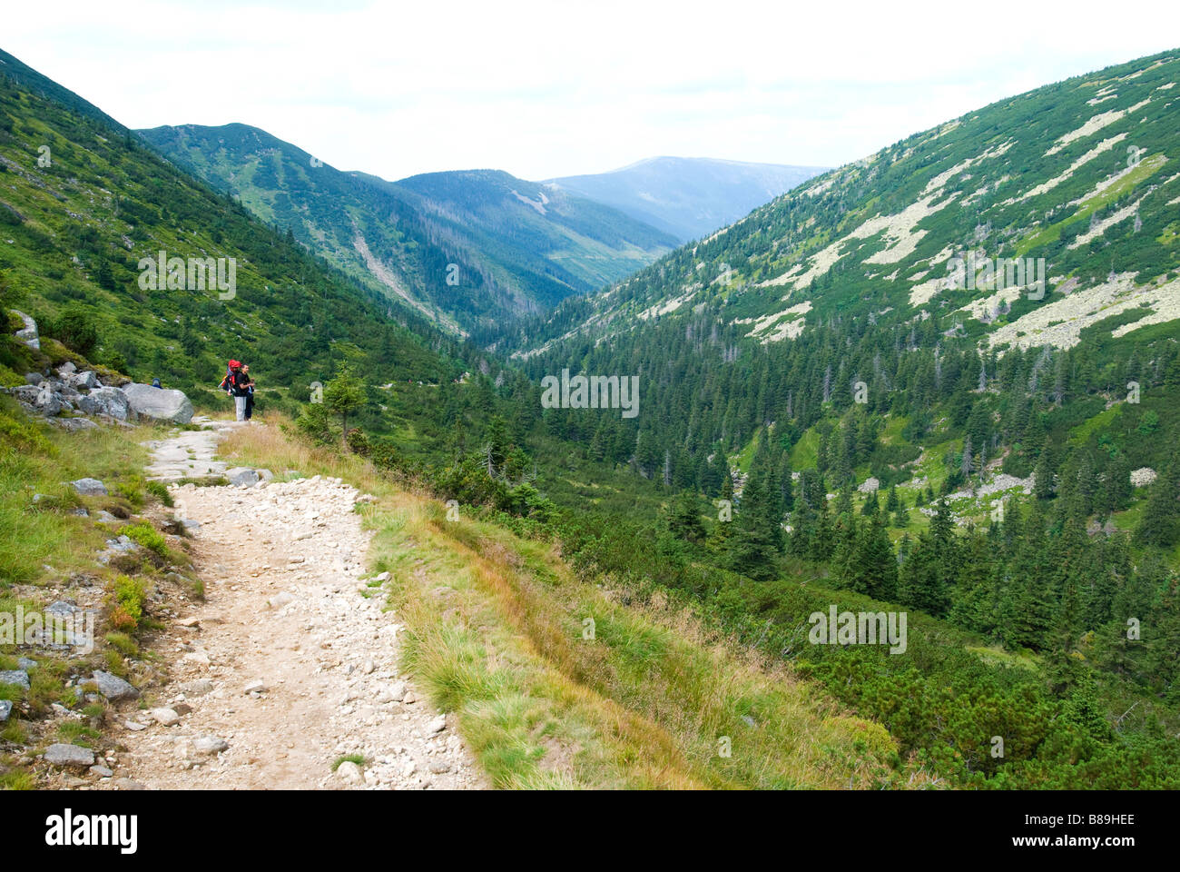 White Labe valley Krkonose mountains Czech Republic Stock Photo