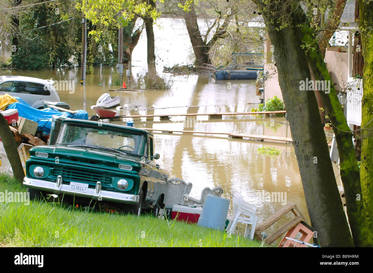 Restored Chevy pickup truck on banks on flooded Sacramento River Stock Photo
