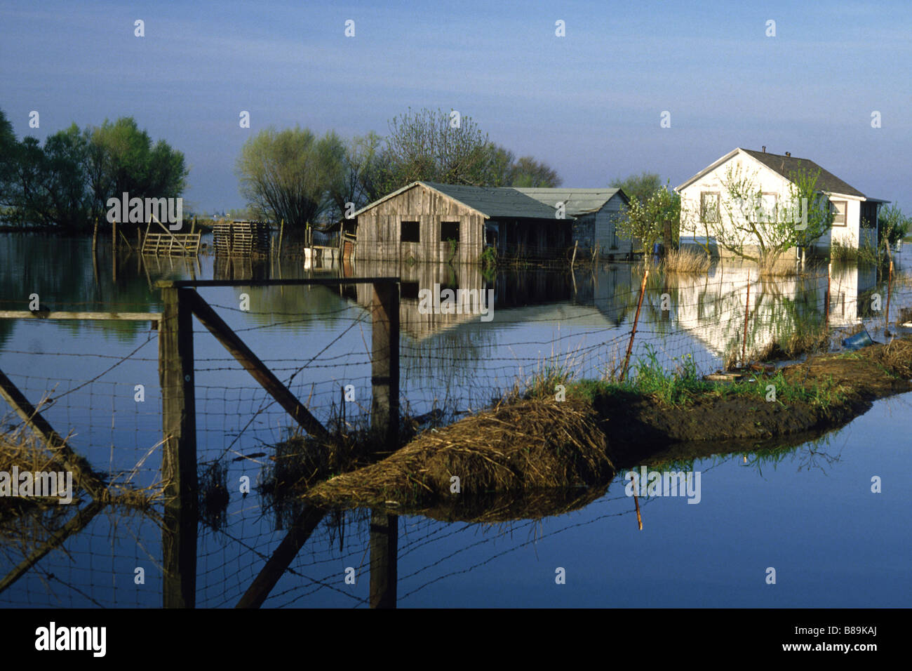 Flooding in the Sacramento Delta, California Stock Photo: 22340378 - Alamy