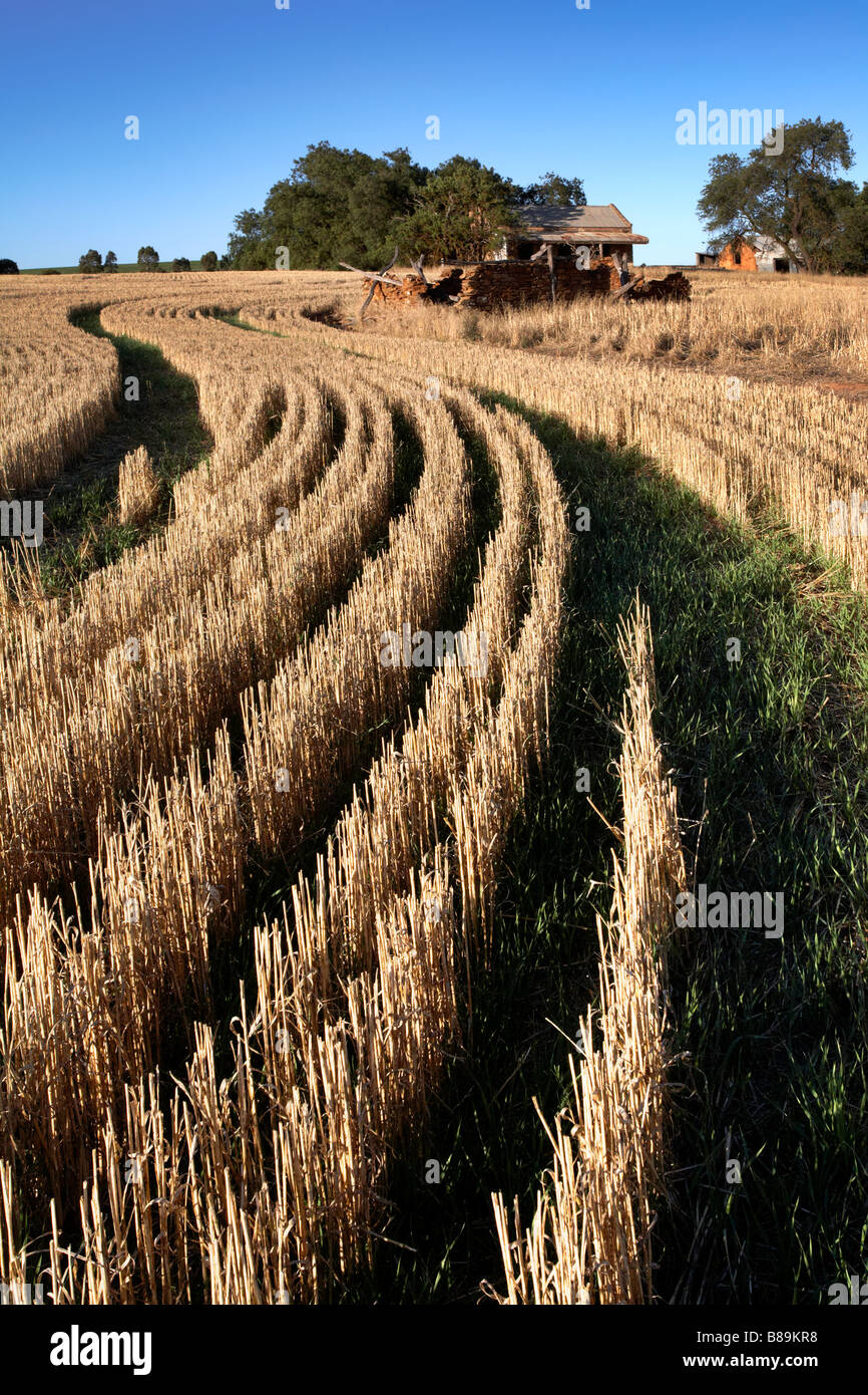 Australian homestead farmhouse hi-res stock photography and images - Alamy