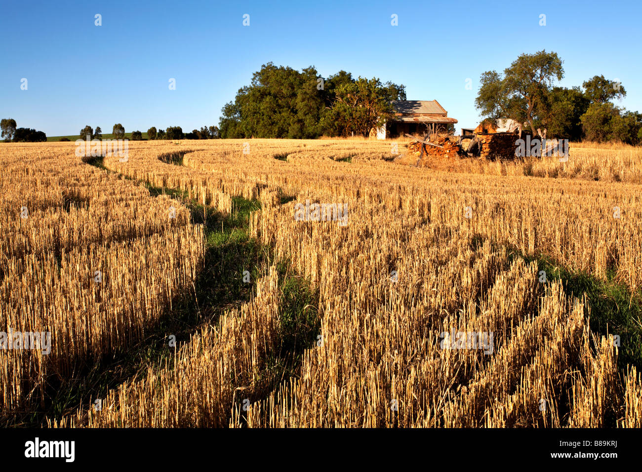 Crop australian farm harvest hires stock photography and images Alamy