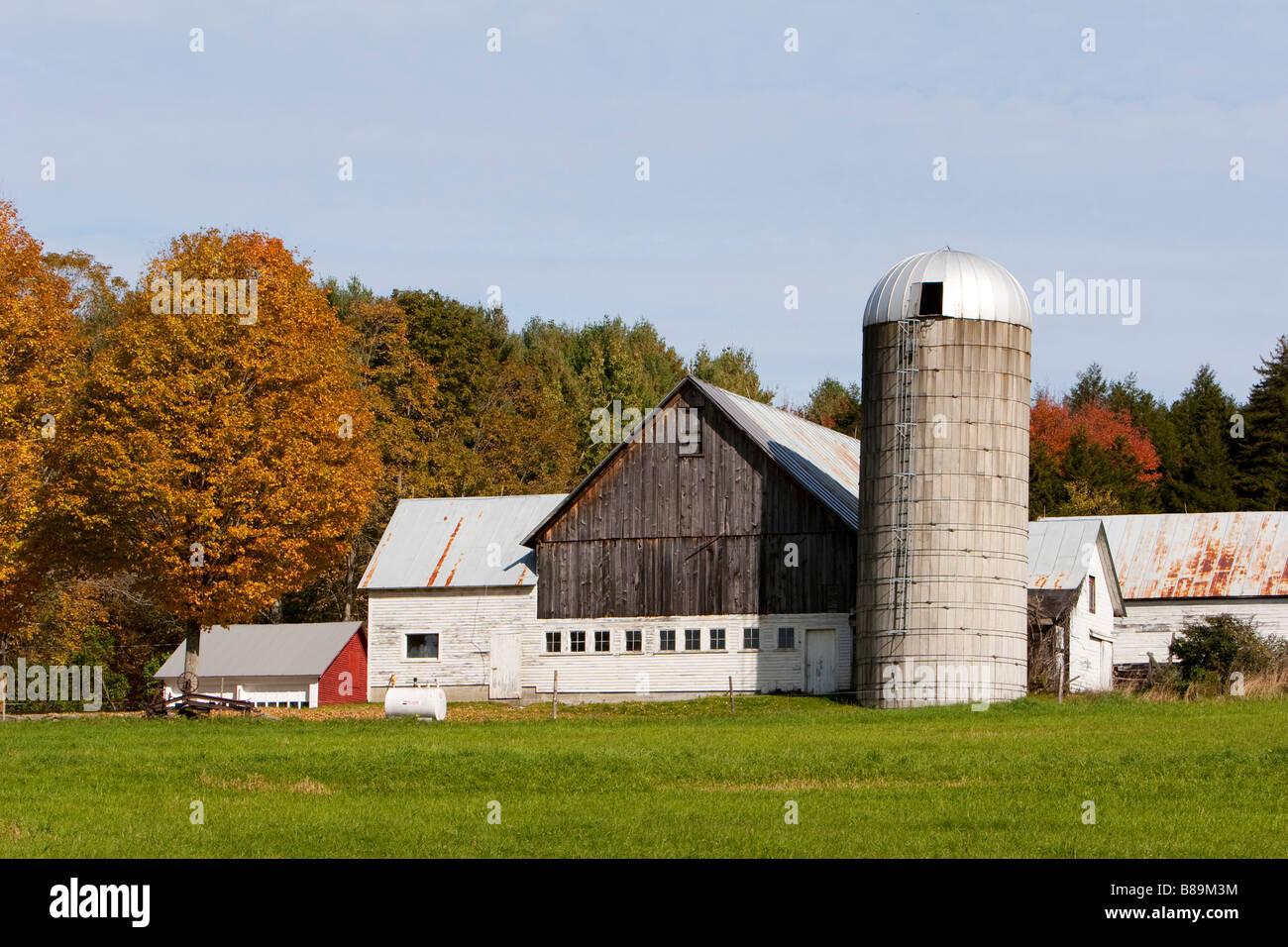Sugarbush farm in Woodstock Vermont USA October 8 2008 Stock Photo Alamy