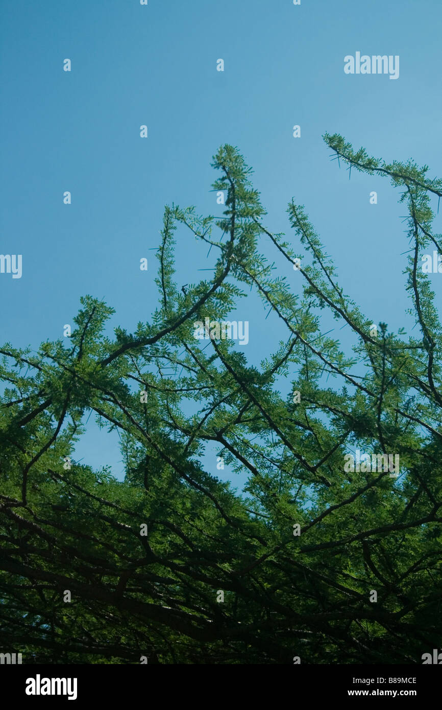 Sky art Stock Photo - Alamy